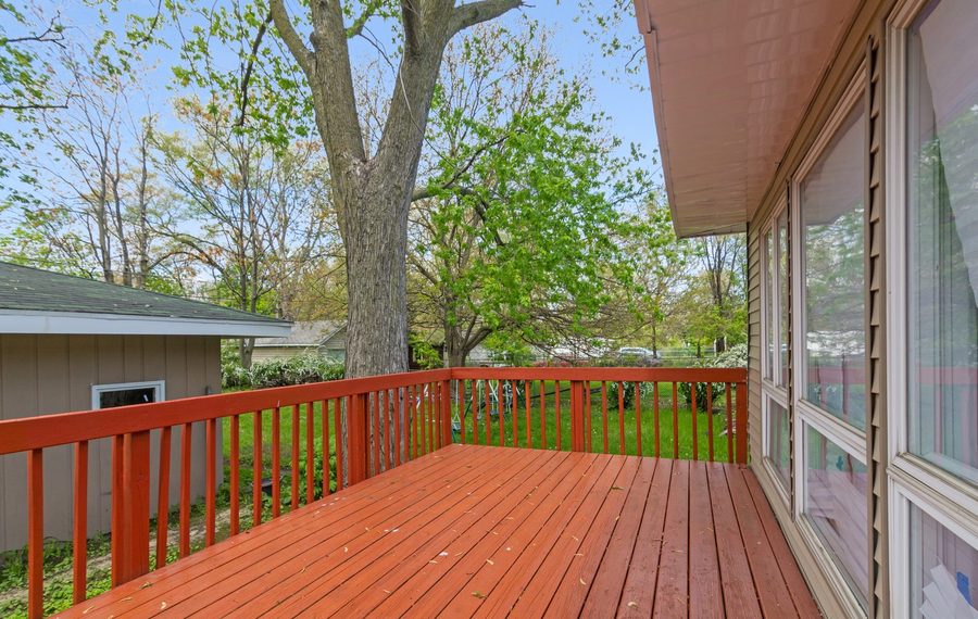 deck, forest